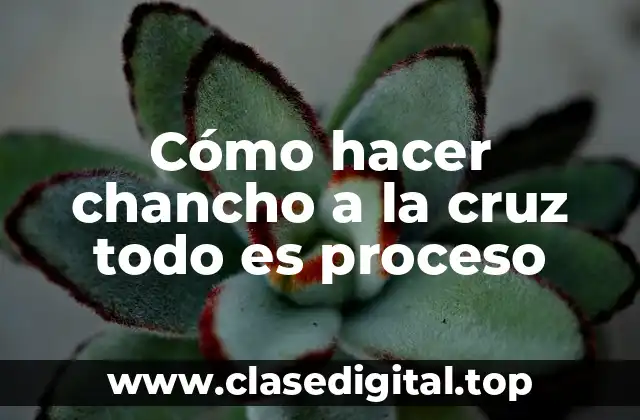 Cómo hacer chancho a la cruz todo es proceso