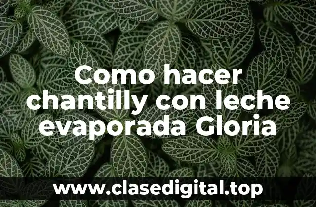 Como hacer chantilly con leche evaporada Gloria