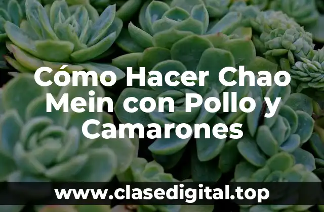 Cómo Hacer Chao Mein con Pollo y Camarones