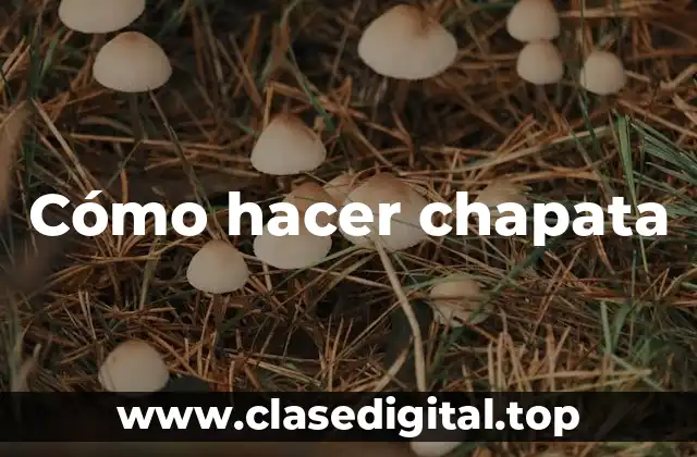 Cómo hacer chapata