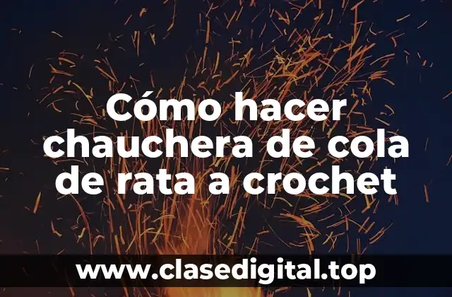 Cómo hacer chauchera de cola de rata a crochet