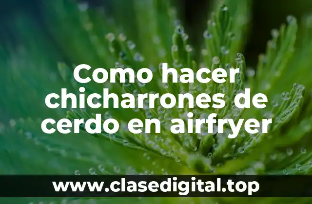 Como hacer chicharrones de cerdo en airfryer