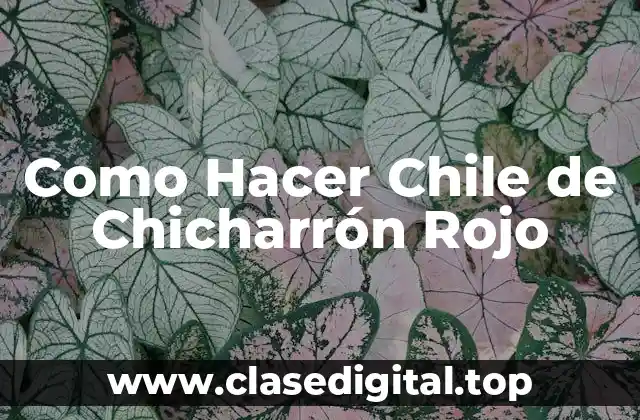¿Qué es el Chile de Chicharrón Rojo?