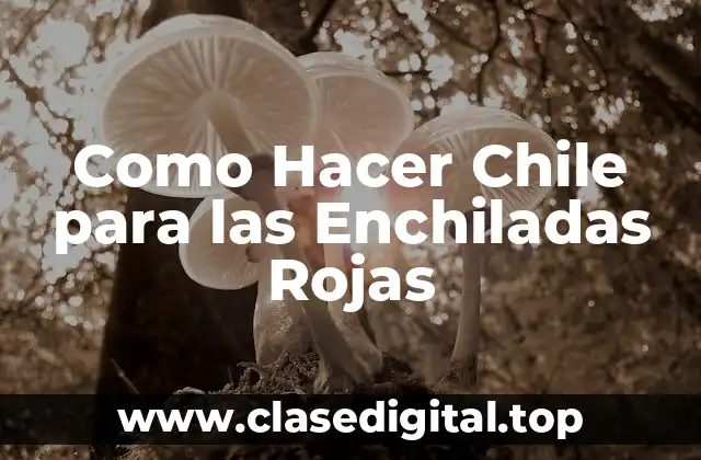 Como Hacer Chile para las Enchiladas Rojas