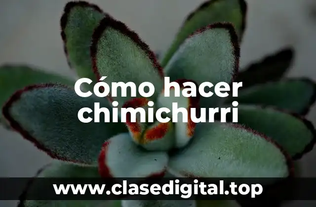 ¿Qué es el chimichurri y para qué sirve?