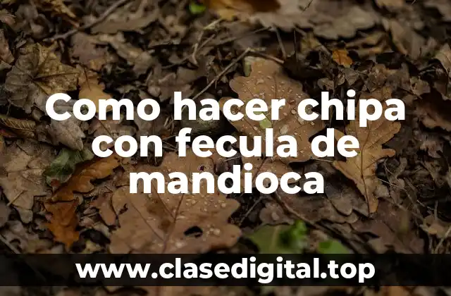 Como hacer chipa con fecula de mandioca