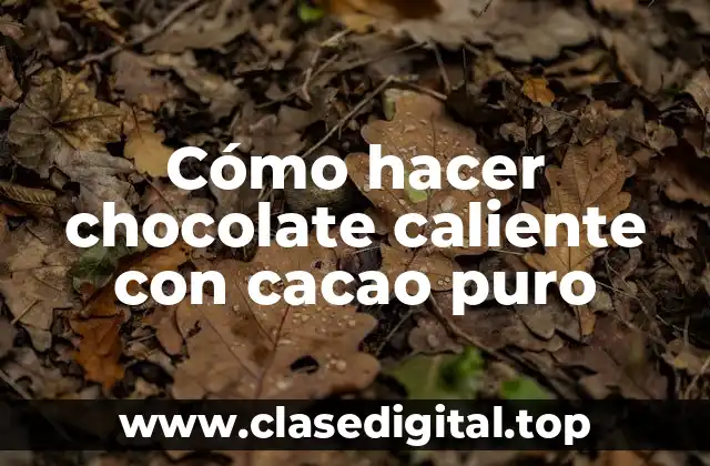 Cómo hacer chocolate caliente con cacao puro