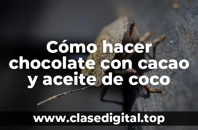 Cómo hacer chocolate con cacao y aceite de coco
