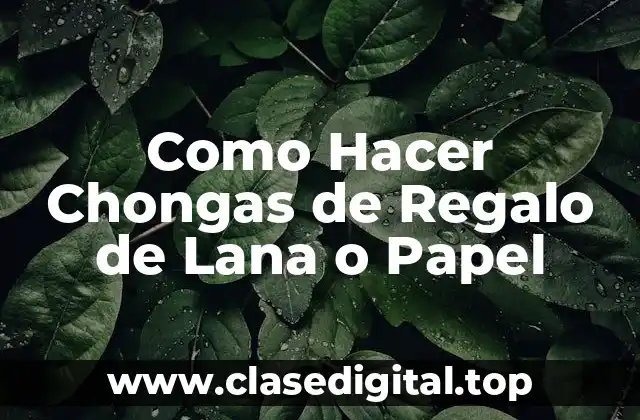 Como Hacer Chongas de Regalo de Lana o Papel