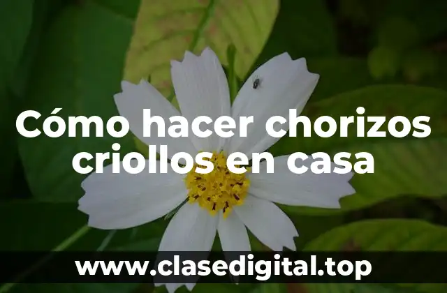 Cómo hacer chorizos criollos en casa