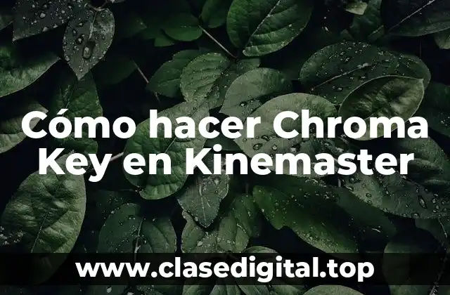 Cómo hacer Chroma Key en Kinemaster