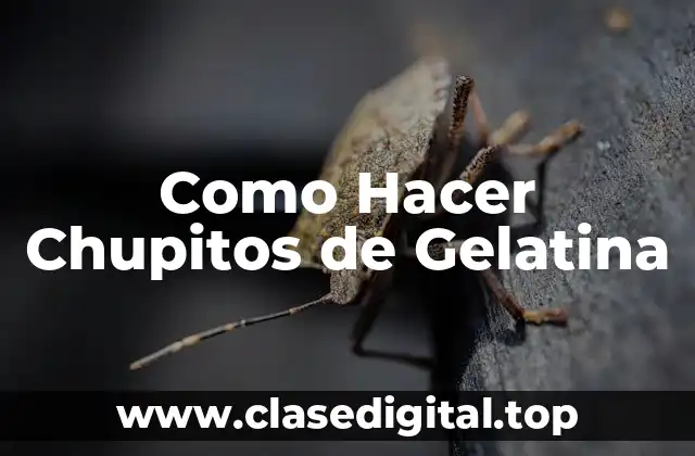 Como Hacer Chupitos de Gelatina