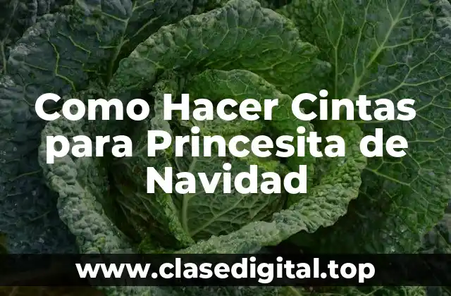 Como Hacer Cintas para Princesita de Navidad