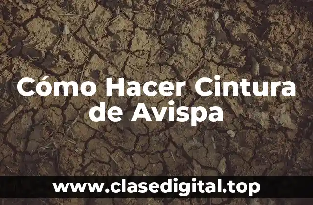 Cómo Hacer Cintura de Avispa