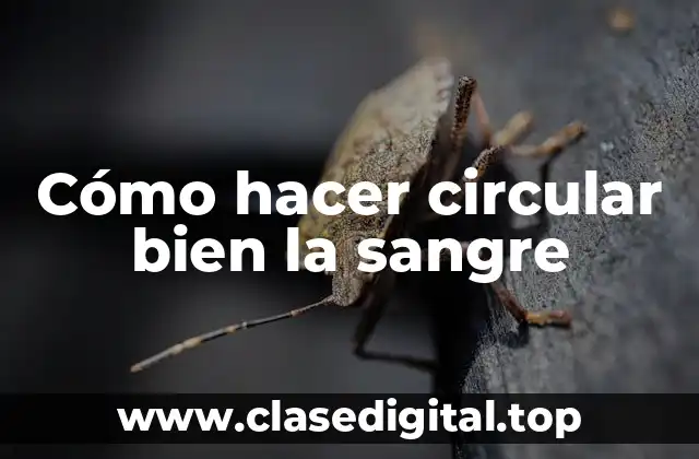 Cómo hacer circular bien la sangre