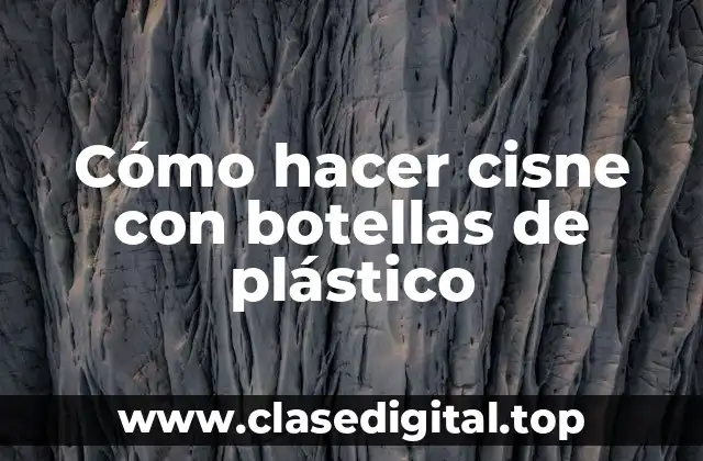 Cómo hacer cisne con botellas de plástico