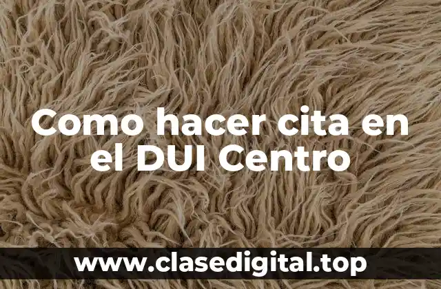 Como hacer cita en el DUI Centro
