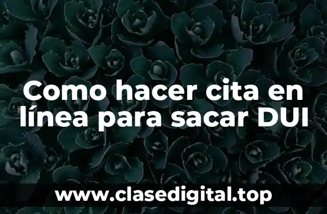 Como hacer cita en línea para sacar DUI