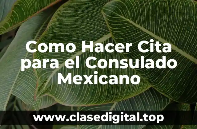 Como Hacer Cita para el Consulado Mexicano