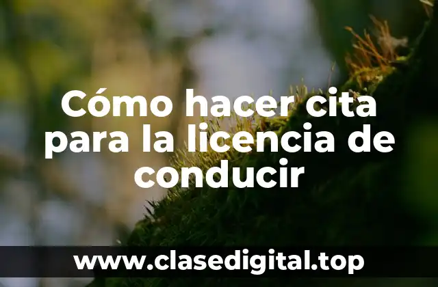 Cómo hacer cita para la licencia de conducir