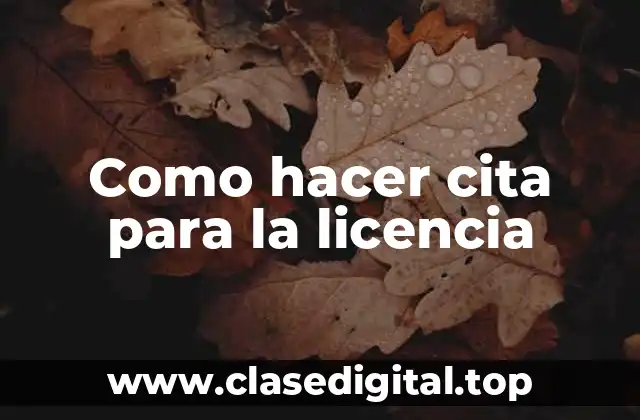 Como hacer cita para la licencia de conducir