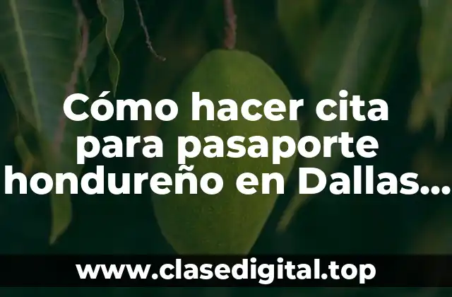 Cómo hacer cita para pasaporte hondureño en Dallas TX