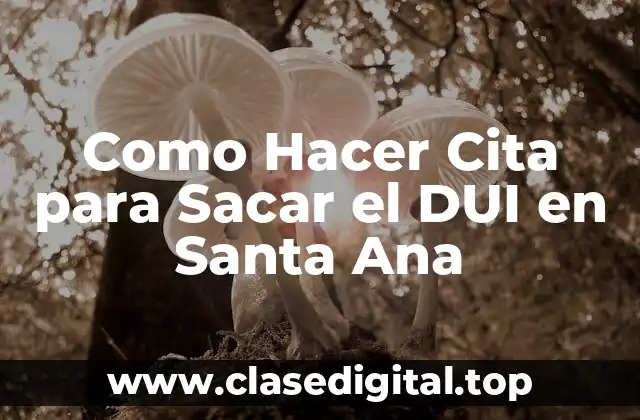 Como Hacer Cita para Sacar el DUI en Santa Ana