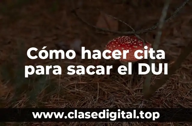 Cómo hacer cita para sacar el DUI