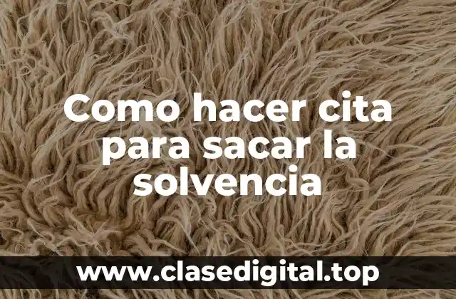 ¿Qué es la cita para sacar la solvencia?