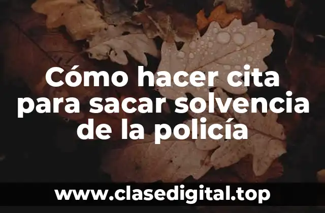 Cómo hacer cita para sacar solvencia de la policía