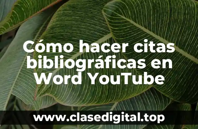 Cómo hacer citas bibliográficas en Word YouTube