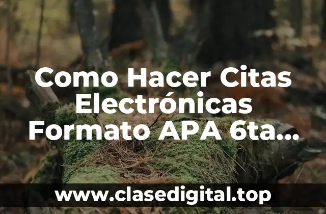 Como Hacer Citas Electrónicas Formato APA 6ta Edición