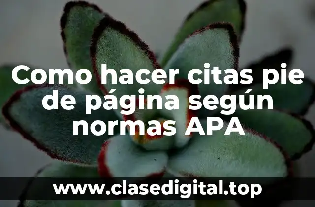Como hacer citas pie de página según normas APA