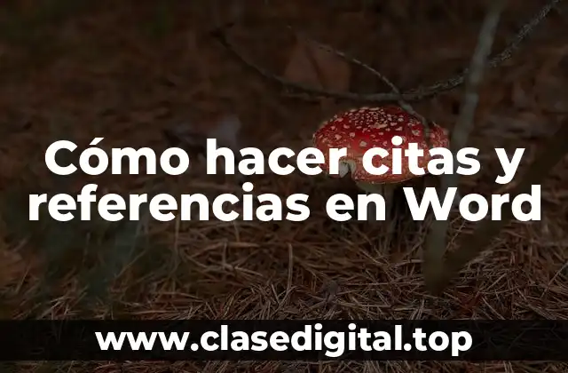 Cómo hacer citas y referencias en Word