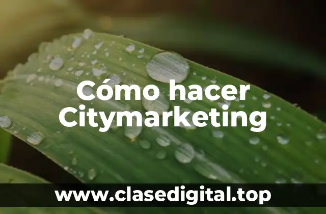 ¿Qué es Citymarketing?