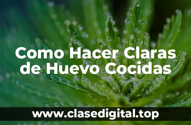 Como Hacer Claras de Huevo Cocidas