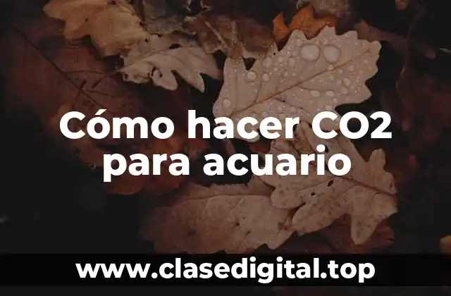 Cómo hacer CO2 para acuario