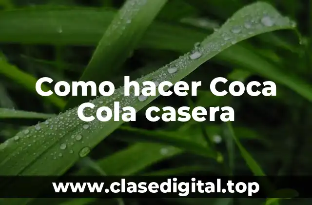 ¿Qué es la Coca Cola casera?