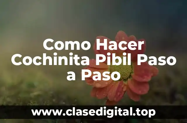 Como Hacer Cochinita Pibil Paso a Paso