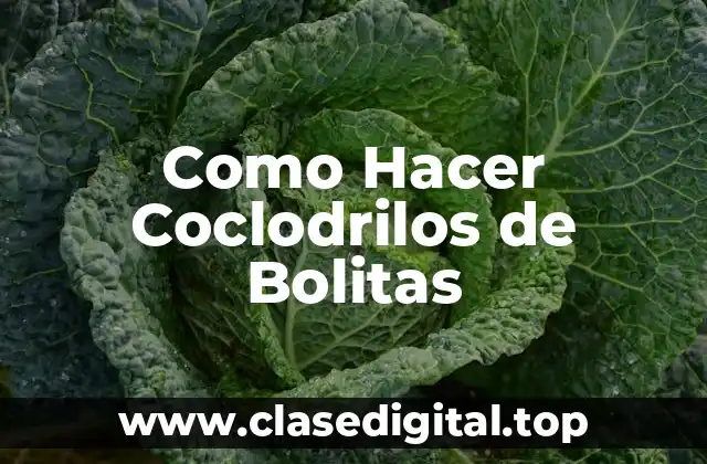 Como Hacer Coclodrilos de Bolitas