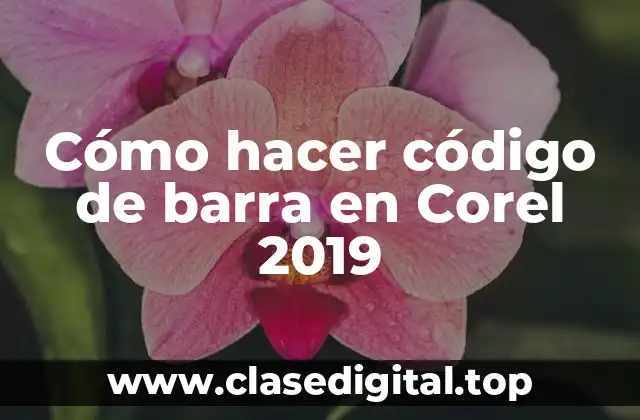 Cómo hacer código de barra en Corel 2019