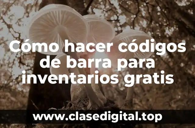 Códigos de barra para inventarios: ¿qué son y para qué sirven?