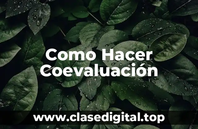 Como Hacer Coevaluación