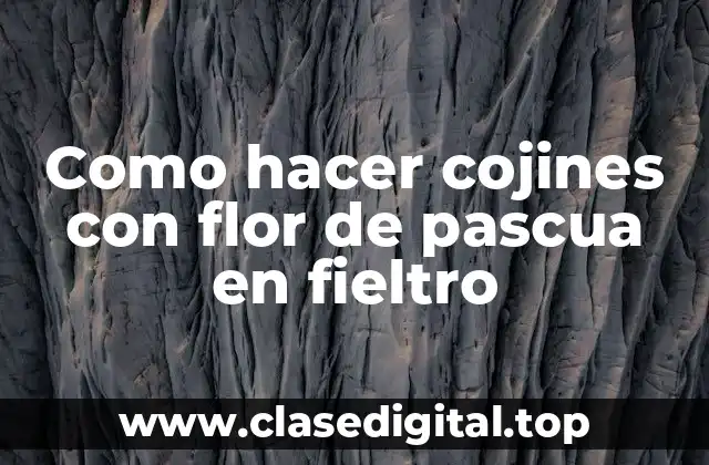Como hacer cojines con flor de pascua en fieltro