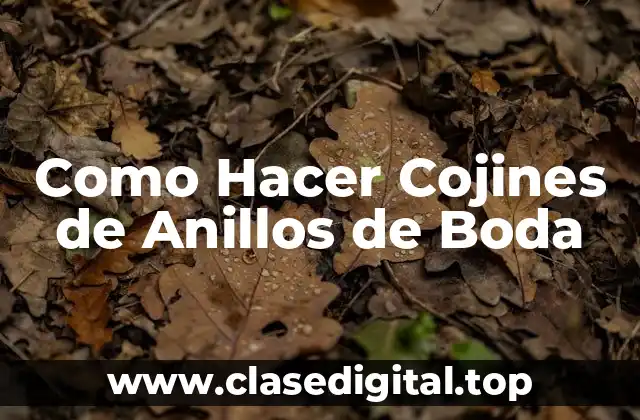 Como Hacer Cojines de Anillos de Boda