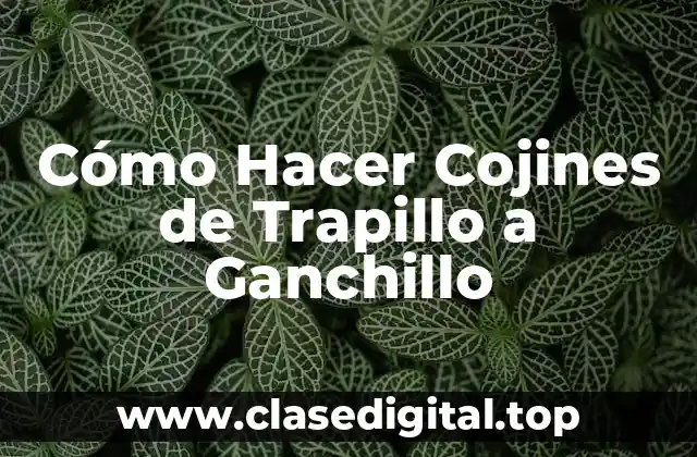 Cómo Hacer Cojines de Trapillo a Ganchillo