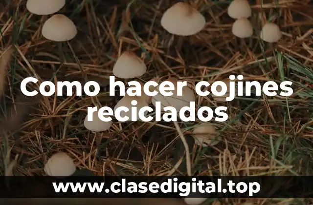 Como hacer cojines reciclados