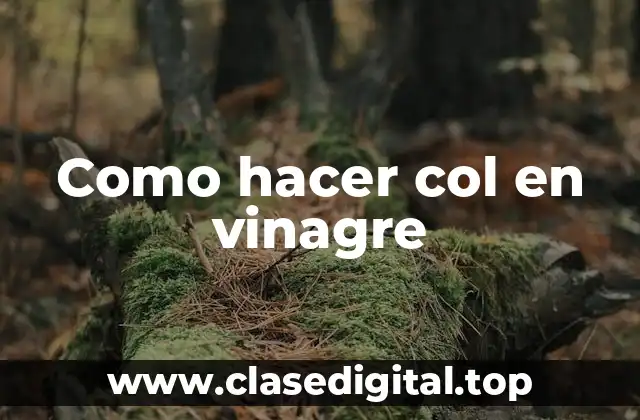 Como hacer col en vinagre