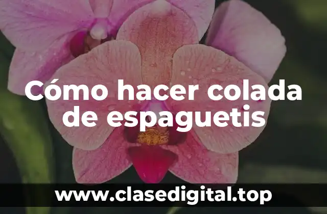 Cómo hacer colada de espaguetis