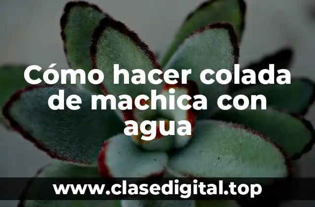 Cómo hacer colada de machica con agua